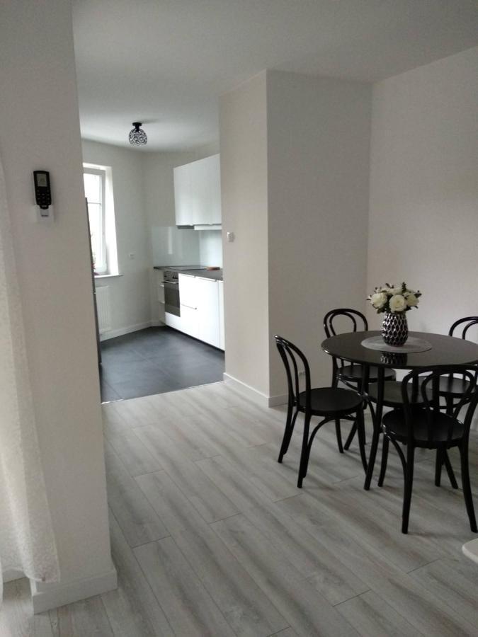 Ric Apart - Apartament Mostowa, Centrum Poznan - Parking - Klimatyzacja エクステリア 写真